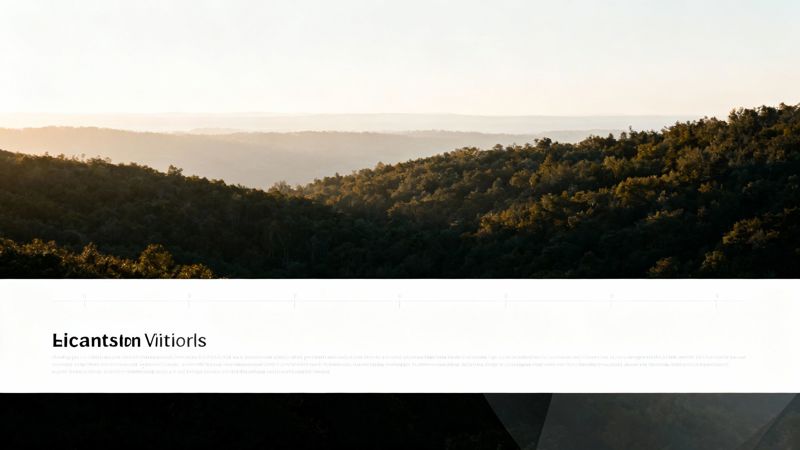 An expansive view of densely forested hills and valleys bathed in the warm glow of a sunset or sunrise.