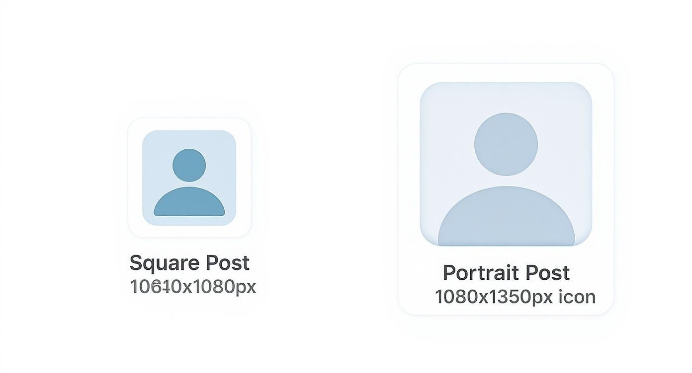 Infographic comparing square (1080x1080px) and portrait (1080x1350px) LinkedIn post sizes